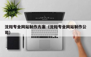 中国台湾沈阳专业网站制作方案（沈阳专业网站制作公司）